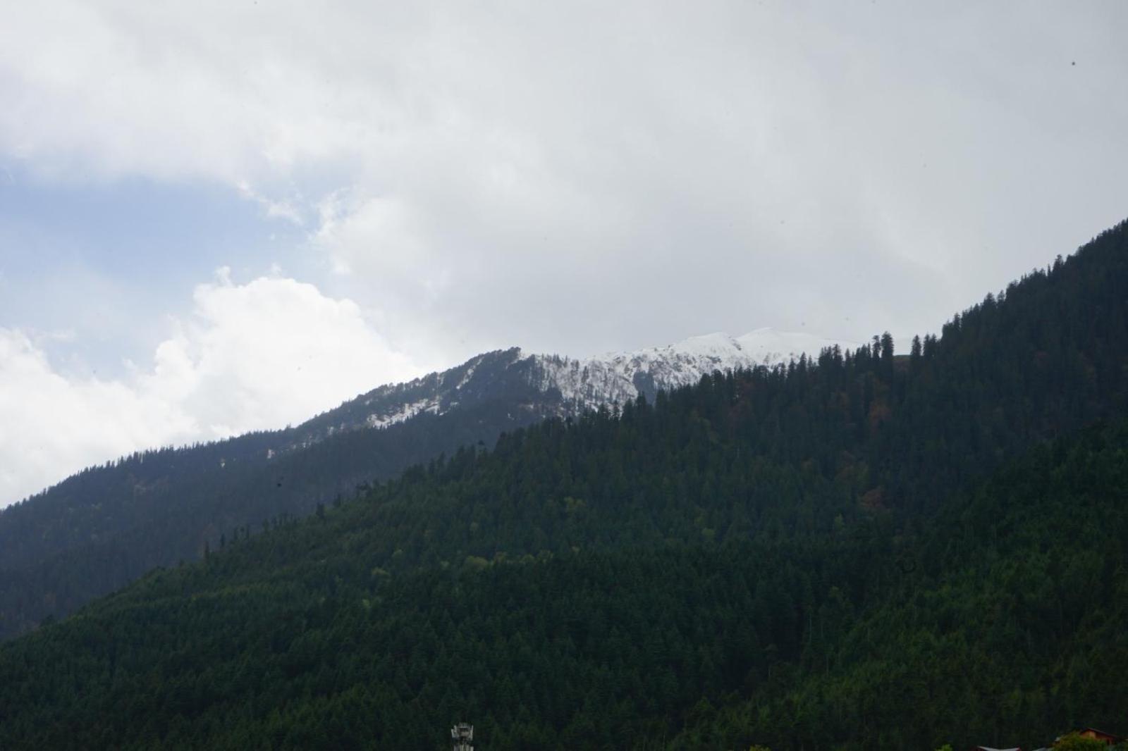 Hotel Magnolia Mallroad Manali - Manali (Himachal Pradesh) — Photos 3